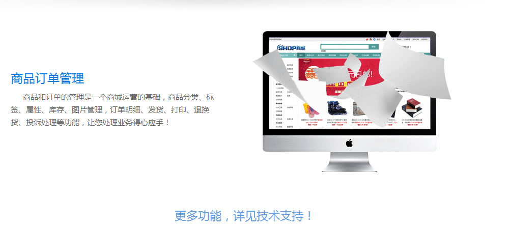 網上(shàng)商城(chéng)網站(zhàn)建設