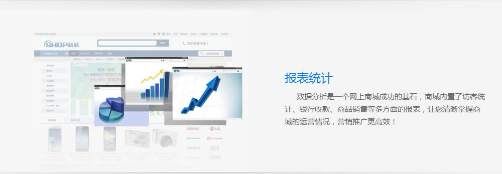 網上(shàng)商城(chéng)網站(zhàn)建設