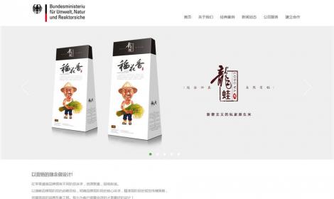 品牌廣告網絡設計(jì)類企業(yè)公司網站(zhàn)