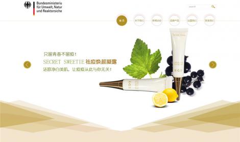 化(huà)妝品公司網站(zhàn)（帶手機(jī)版）