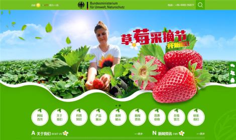 水(shuǐ)果蔬菜類模闆(帶手機(jī)端)