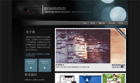 33個(gè)人(rén)分(fēn)享博客文(wén)章(zhāng)整站(zhàn)程序