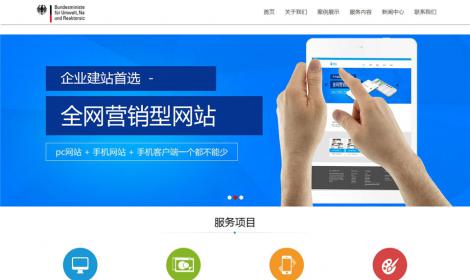 402HTML5高(gāo)端網絡服務機(jī)構模闆